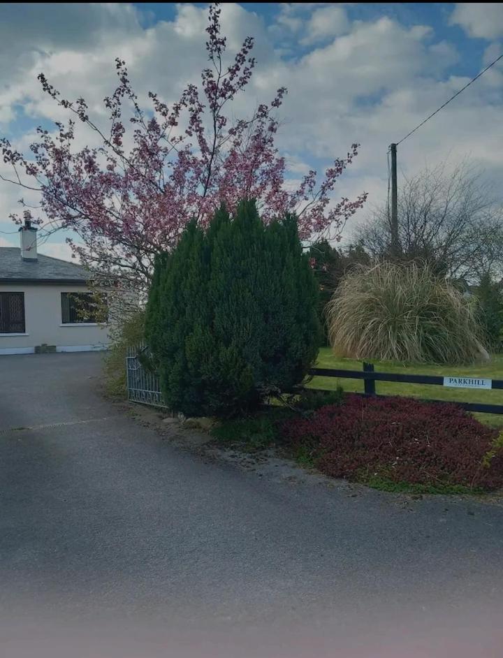 Parkhill House Self Catering Apartment Ballyshannon Exterior foto